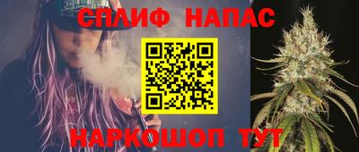 СК Краснознаменск