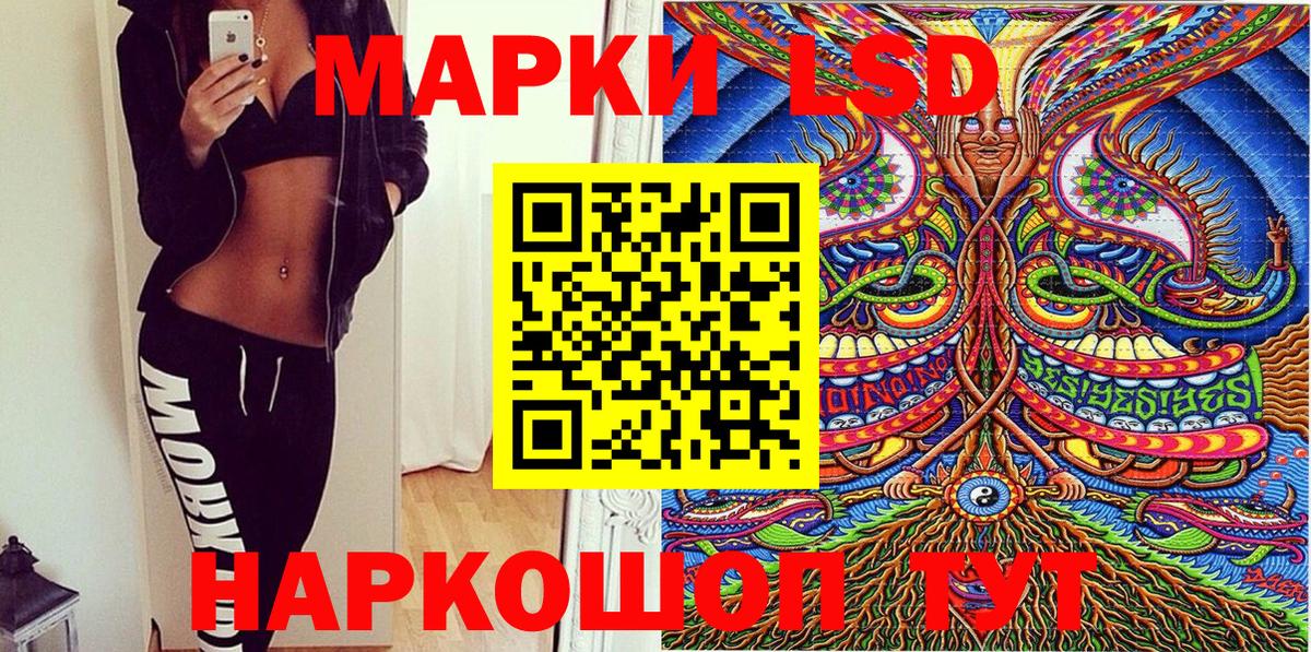 МЕФ Каменка