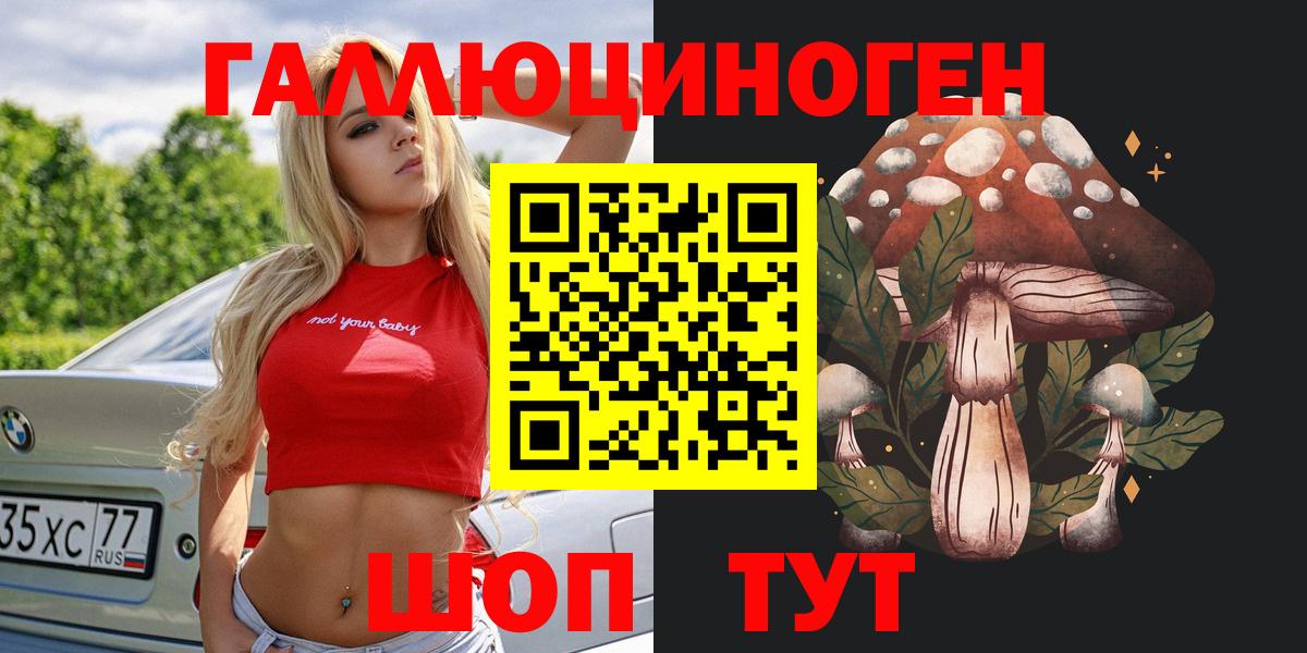Псилоцибиновые грибы GOLDEN TEACHER  Вход с VPN  Каменка 