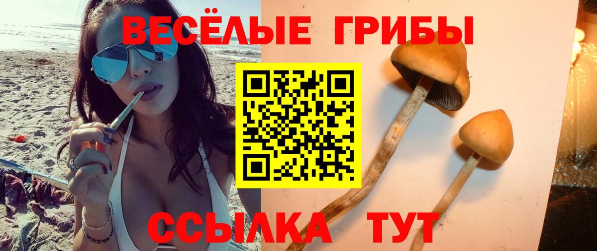 Псилоцибиновые грибы мухоморы Каменка